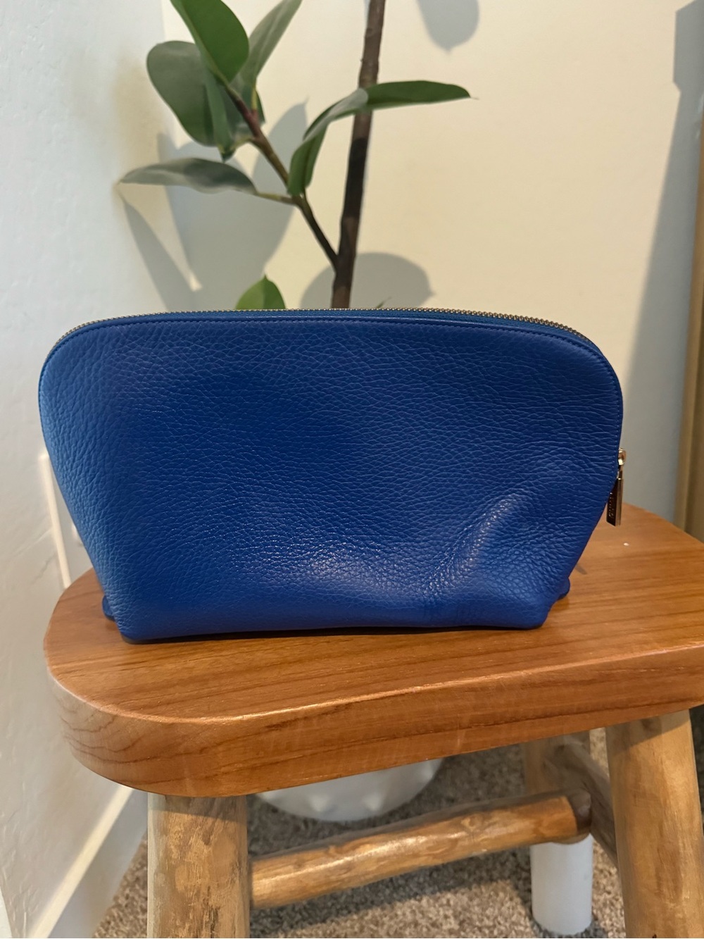 Cuyana Royal Blue Pebbled Leather Cosmetic Pouch